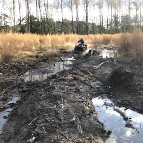 Meet your Posher, Jesse - Picture 1 of 1